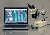 AmScope