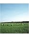 10x8 Photograph 25x20cm Lands End Near Treen Merry Maidens Cornwall Uklandscape By Arcaid