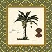 Ghiberie s Banana Palm Finest LAMINATED Print Karl Rattner 12x12