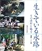 生きている水路―その造形と魅力