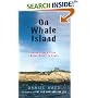 On Whale Island: Notes from a Place I Never Meant to Leave