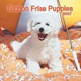 Bichon Frise Puppies 2007 Mini Calendar