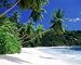 Mahe Island, Seychelles Art Mini Poster Print, 20x16