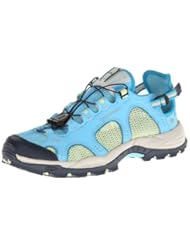 Shoes: Salomon Womens Techamphibian 3 Sandal,Score Blue/Green Tea/Boss Blue,10 M US - Salomon
