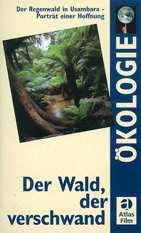 Der Wald, der verschwand