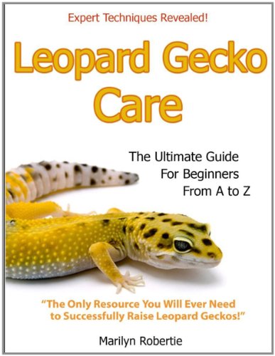 Leopard Gecko Care