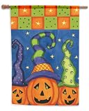 Toland, Pumpkin Family Garden Flag, 12.5 x 18, #117249