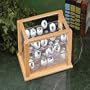 Golf Gifts & Gallery 1963 Acrylic/wood 68 Ball Display Case Oak