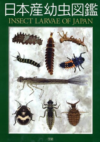 日本産幼虫大図鑑