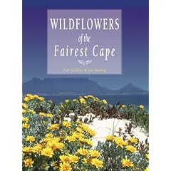 Wildflowers of the Fairest Cape