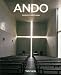 Tadao Ando 1941 : Geometrie de l'espace humain