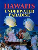 Hawaii's Underwater Paradise