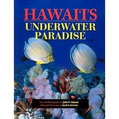 Hawaii's Underwater Paradise