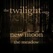 Twilight - Edward...