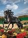 Breyer Traditional Andalusian Stallion