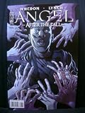 Angel After The Fall #8 / Cover 