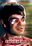 Perro Callejero