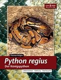 Python Regius. Der K�nigspython