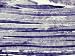Normal Human Skeletal Muscle Photographic Poster Print by G. W. Willis, 24x18
