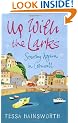 Up With the Larks: Starting Again in Cornwall: My First Year as a Seaside Postie