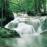 River Waterfalls Live Wallpaper
