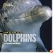 Face to Face with Dolphins (Face to Face with Animals)