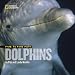 Face to Face with Dolphins (Face to Face with Animals)