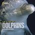 Face to Face with Dolphins (Face to Face with Animals)