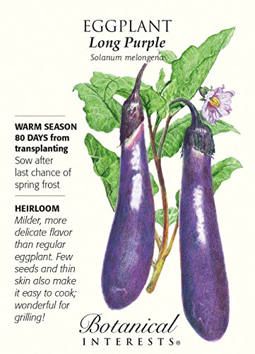 Long Purple Eggplant Seeds - 500 mg - Heirloom Long Purple Eggplant Seeds - 500 mg - Heirloom