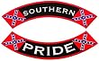 Southern Pride Embroidered Two-Piece Confederate Flag Iron-On Rockers Civil War Patch