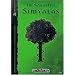 Im Schatten Simyalas. Abenteuer