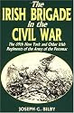 Irish Brigade In The Civil War: The 69th New York And Other Irish Regiments Of The Army Of The Potomac