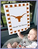 Sunshade - University of Texas