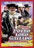 Corrido Del Potro Lobo Gatiado [DVD] [Region 1] [US Import] [NTSC]