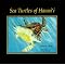 Hanauma Bay references... a Top Five list
