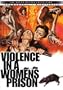 Violence in a Women's Prison