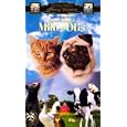 Les d�tails du produit