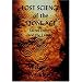 Lost Science of the Stone Age: Sacred Energy and the I Ching