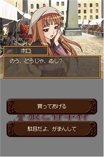 狼と香辛料 ボクとホロの一年(通常版)(特典無し)