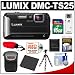 Panasonic Lumix DMC-TS25 Shock & Waterproof Digital Camera (Black) with 16GB Card + Battery + Case + Floating Strap + Flex Tripod + Accessory Kit