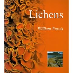 Lichens Pb