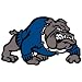 Bulldog Temporary Tattoos Blue