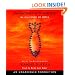 The Prophet of Yonwood (Books of Ember)