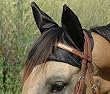 Cashel Comfort Ears-Horse/Arab [Misc.] [Misc.]
