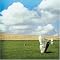 Pink Floyd : Hommage m'a tuer