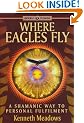 Where Eagles Fly: A Shamanic Way to Personal Fulfilment (Earth Quest)