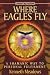 Book Where Eagles Fly: A Shamanic Way to Personal Fulfilment (Earth Quest)