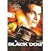 Black Dog