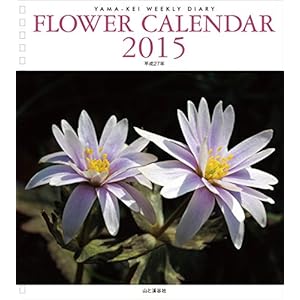 �J�����_�[2015 �t�����[�J�����_�[ (���}�P�C�J�����_�[2015)