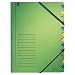 Esselte Leitz 39120055 Ordnungsmappe, 12 F�cher, Colorspankarton, gr�n